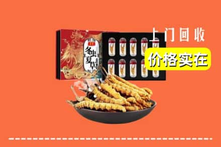 张家界桑植县回收冬虫夏草